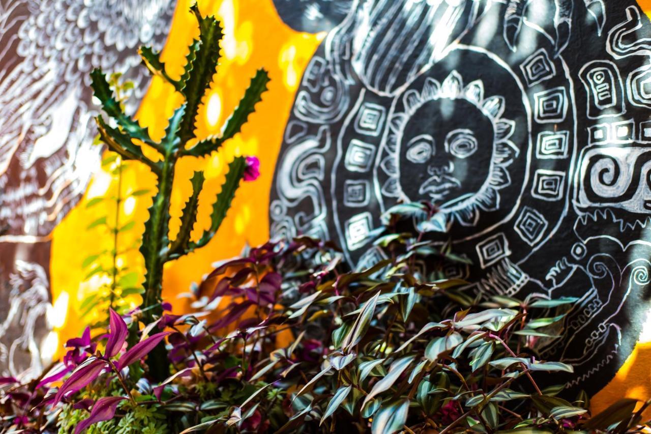 Hostal Pochon Oaxaca Exterior foto